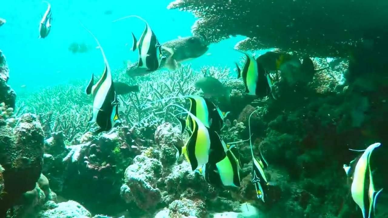 Pousada Vale Encantado São Miguel dos Milagres Exterior foto